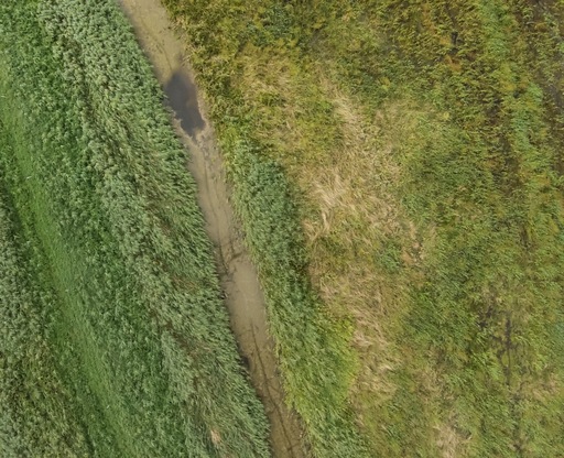Aerial geodata from drone footage
