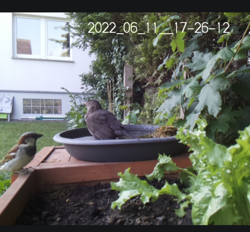 Timelapse recording