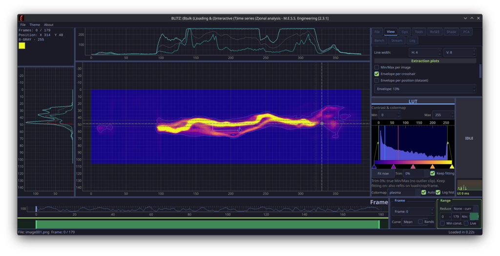 BLITZ analyzing a 2D time series